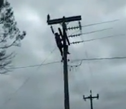 Drunk Moron vs. Electricity 