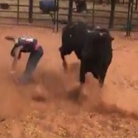 Bull Ragdolls Dude and Knocks him TFO