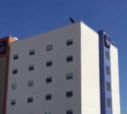 Really Wants To Die... Running Jumper (2 Angles)