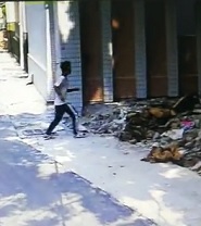 Dude Runs into Building and Then...................