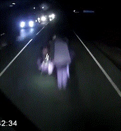 Bag Lady's Last Shopping Cart  Stroll