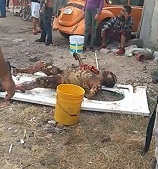 Dying from Firework Explosion (Action & Aftermath)