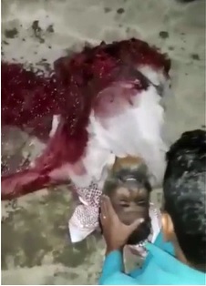 DAMN! Dude Cut in Half Still Alive Talking