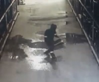 Moronic Employee Puts Flammabl Substance on Floor Trying to Clean