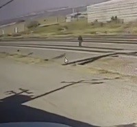 Patiently Waiting for his Moment to Die