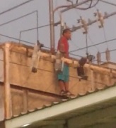 Dude Does the Electric Boogaloo