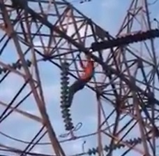 Electric Boogaloo #2