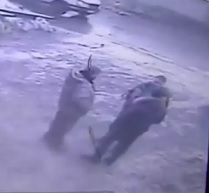 Watch out for Falling Ice.