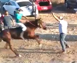 Moron Walks in Front of Racing Horse