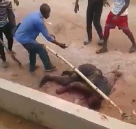 African Cop on Wrong Side of Justice