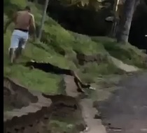 Left For Dead on the Lawn