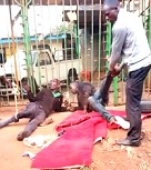 Two Thieves Beaten Mercilessly