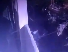 Worker Crushed by Falling Brick Wall