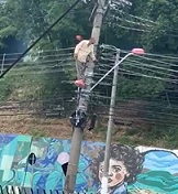 Moron vs. Electricity