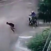 Can't Out Run the Bullets... Daylight Assassination