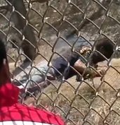 Failed Prison Escape...Inmate Sizzles To Death on Electric Fence