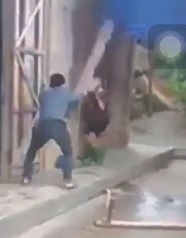 Punk Mother Fucker Bashes His Mother Over the Head