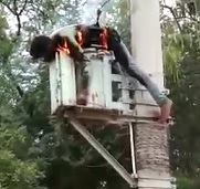 The BBQ Sizzle, Fry, Burn & Smoke... 