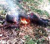 Thief Burned to Death...