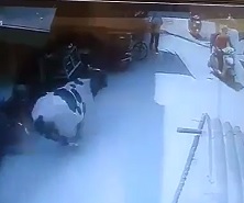 Bulls Target Biker and Kill Him.