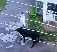 Bulls Had Enough of this Dudes Shit.