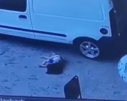 SAD: Little Girl Falls from Third Floor Apartment