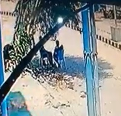 Final Destination.. Falling Tree