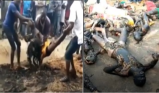 Over 30 People Killed, tanker Collision  (8 parts)