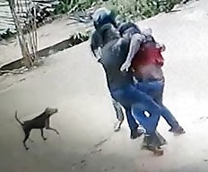 Dog Watches Wild Stabbing of Man.