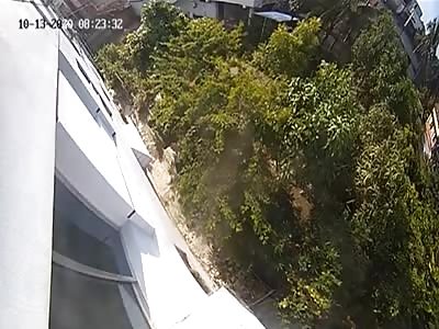 Suicide Swan Dive into Trees.