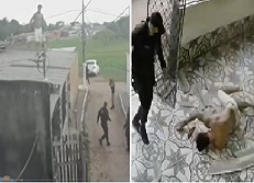 Suspect Falls Through Roof.