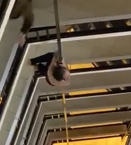 Jump to Death Rather than Get Caught by Police.