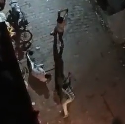 Man Savagely Beaten with Rods in Back Alley 