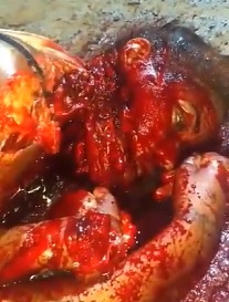 DAMN: Girl Found MUTILATED by Machete.