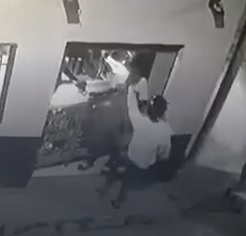 Assassin Gets the Job Done.