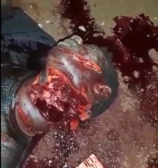 Dull Machete Couldn't Quite Behead this Guy.