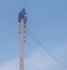 Does he Die From the Zap or the Fall?