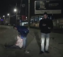 Woman Attacked by Dog - DASHCAM RUSSIA.