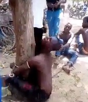 Tied to a Tree Stump and Gets Jungle Justice.