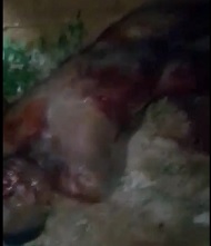 Dude Beaten to Death with a Yellow Thing