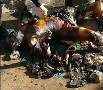 A Little Monday Morning Sizzle.