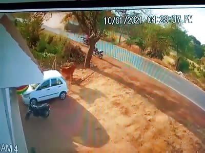 Couple Ejected Like Ragdolls