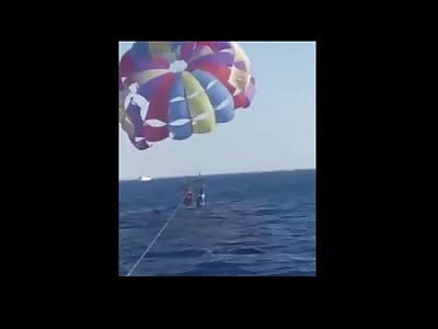 Shark Jumps Out of Water and Rips Guys Leg Off.