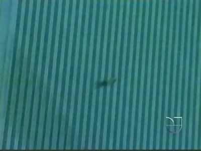 9/11 Suicide Jumper