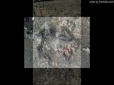 A FEW DEAD RUSKIES PART6 SLAVA UKRAINI!