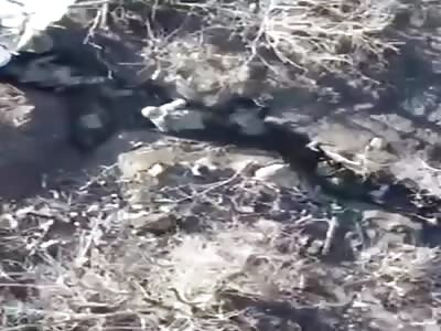 A Few Gifts From Heaven For Dirty Ruskie Pigs