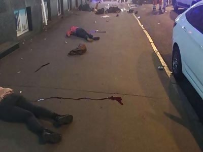 ALYONA ZAITSEVA HORROR CRASH