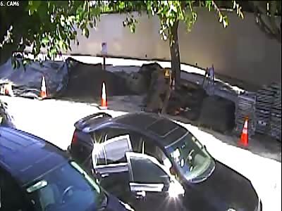 BURGLARY SUSPECT RUN OVER COPS