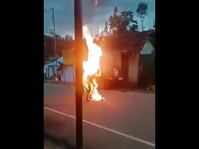 GIRL BURN EDIT VERSION