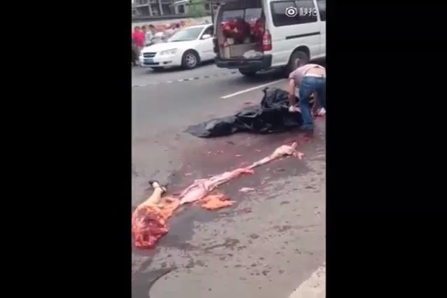 Collection Of The Grisly Remains Of An Accident Victim